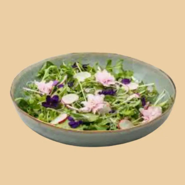 Ariel Salad Bowl - Seamist