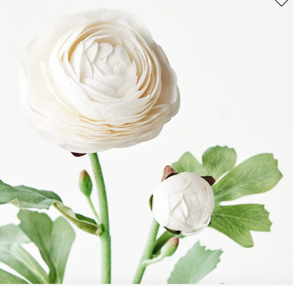 Spring Refresh