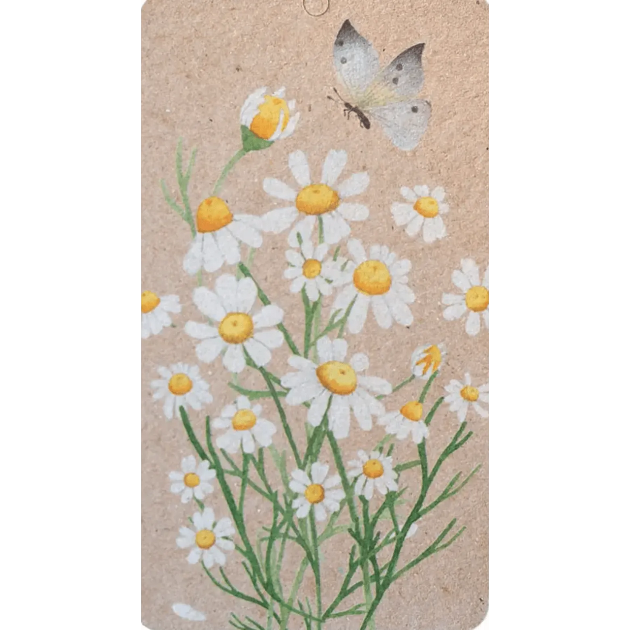 A Gift Tag - Chamomile Flower and Butterfly Print – High quality House of Dudley homewares