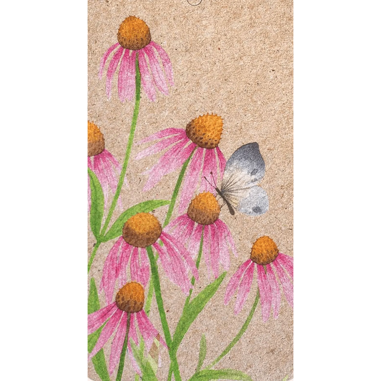 A Gift Tag - Echinacea – High quality House of Dudley homewares