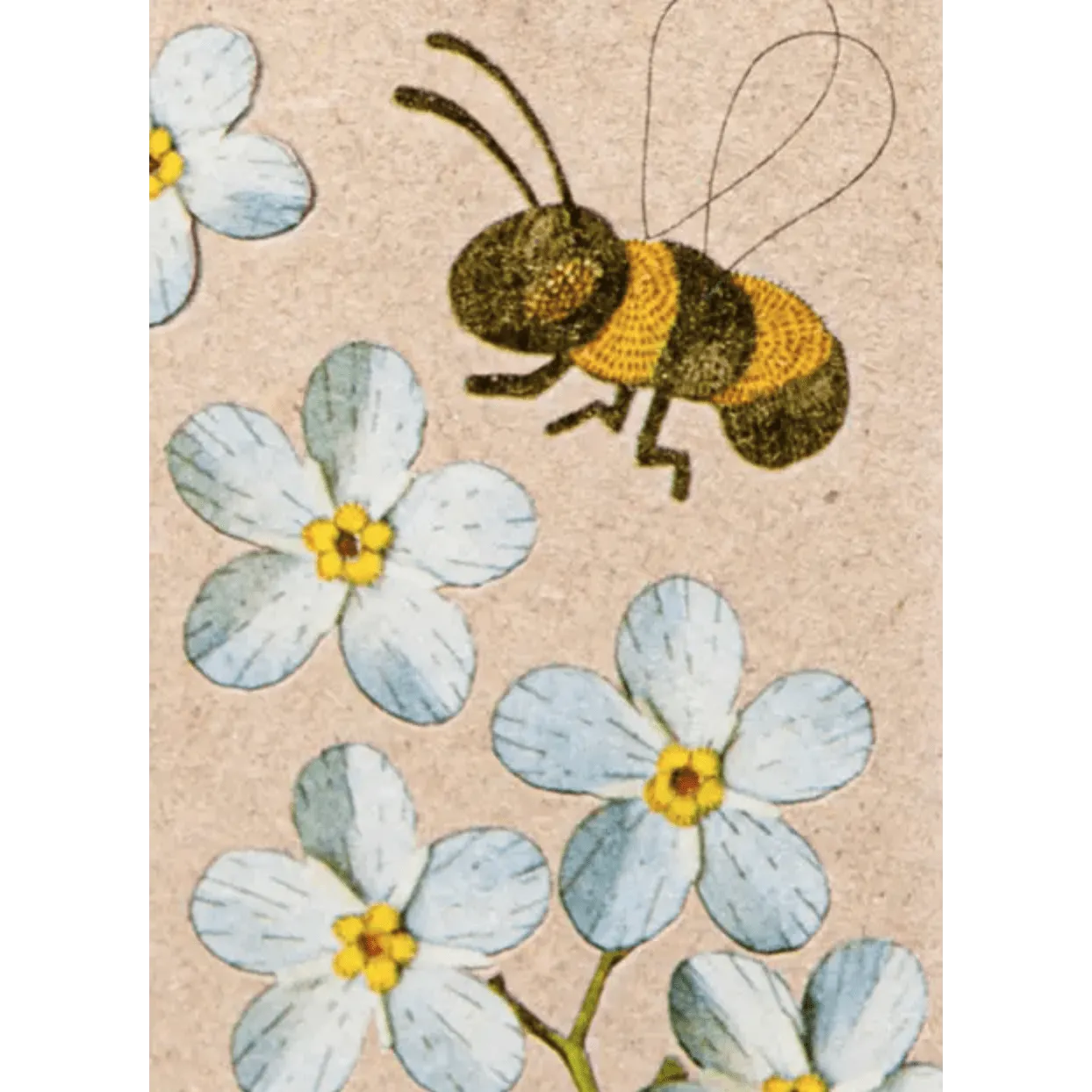 A Gift Tag - Forget-me-not – High quality House of Dudley homewares