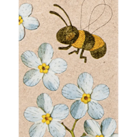 Thumbnail for A Gift Tag - Forget-me-not – High quality House of Dudley homewares
