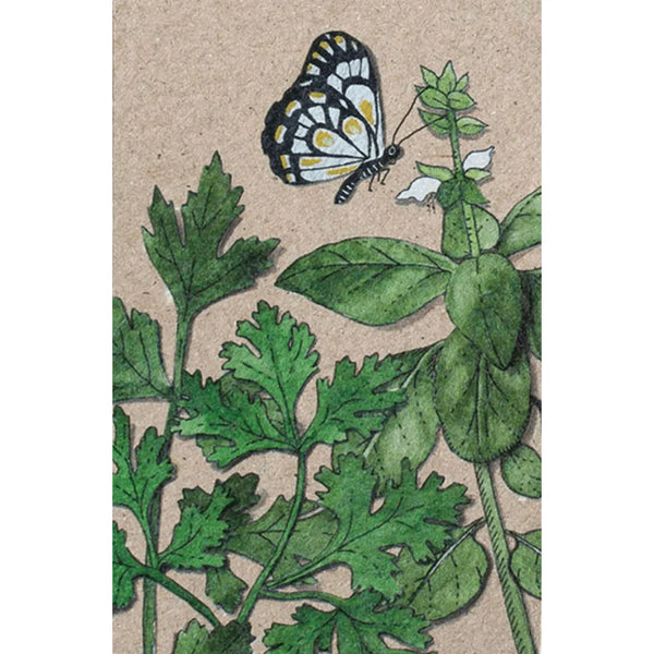 A Gift Tag - Trio of Herbs – High quality House of Dudley homewares