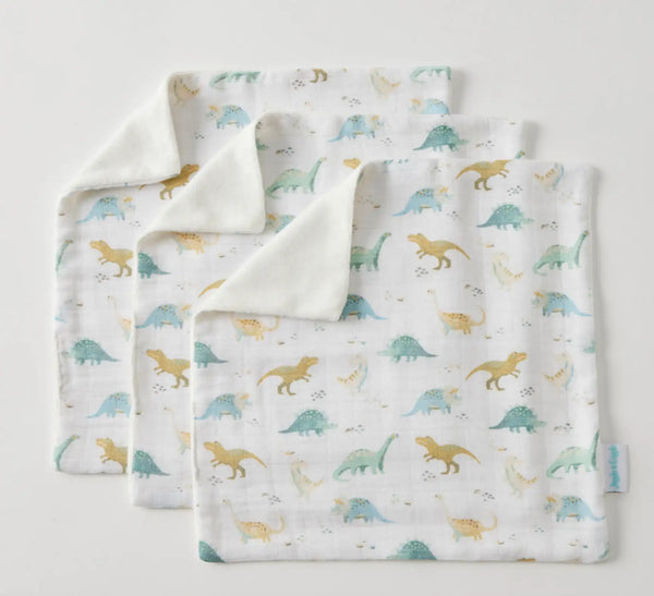 Dallying Dinosaurs Face Washer S/3