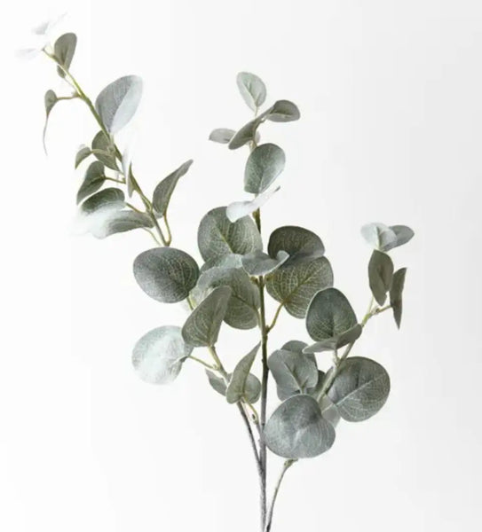 Eucalyptus Spray