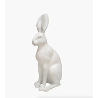 Thumbnail for Harold the Hare White