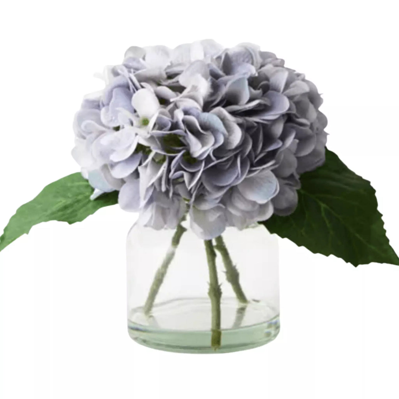 Hydrangea in Vase – High quality House of Dudley homewares