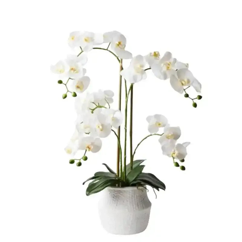 Orchid Phalaenopsis Faux Plant in White Weave Pot 70cm – decorative faux plant Australia – House of Dudley Adelaide