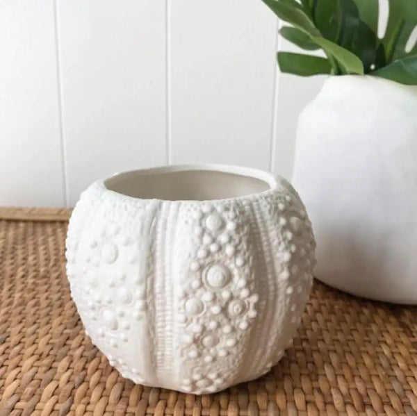 Sea Urchin Vase-decorative-vase-House-of-Dudley