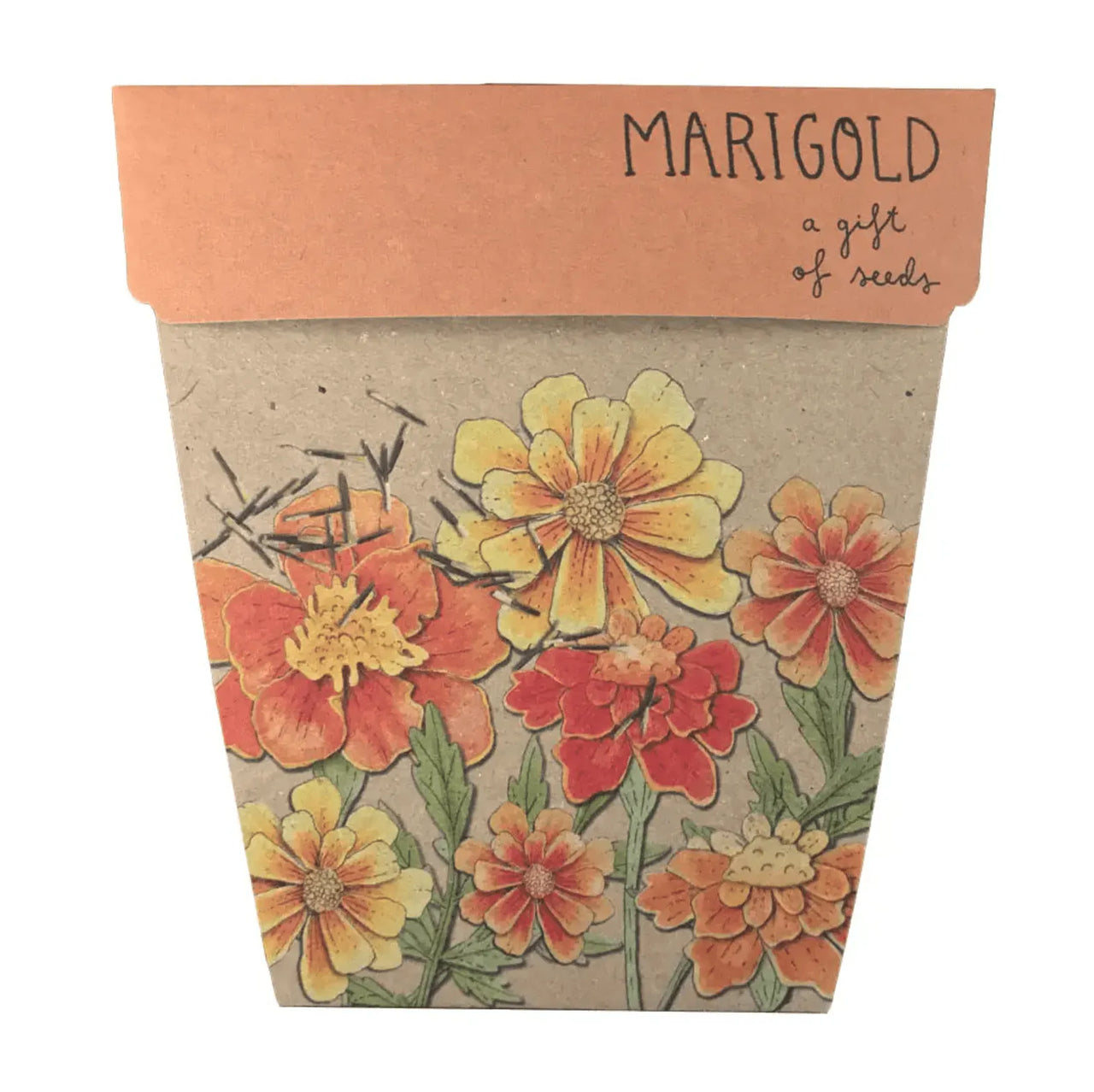 Seeds - Marigolds – High quality House of Dudley homewares