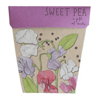 Thumbnail for Seeds - Sweet Pea – High quality House of Dudley homewares