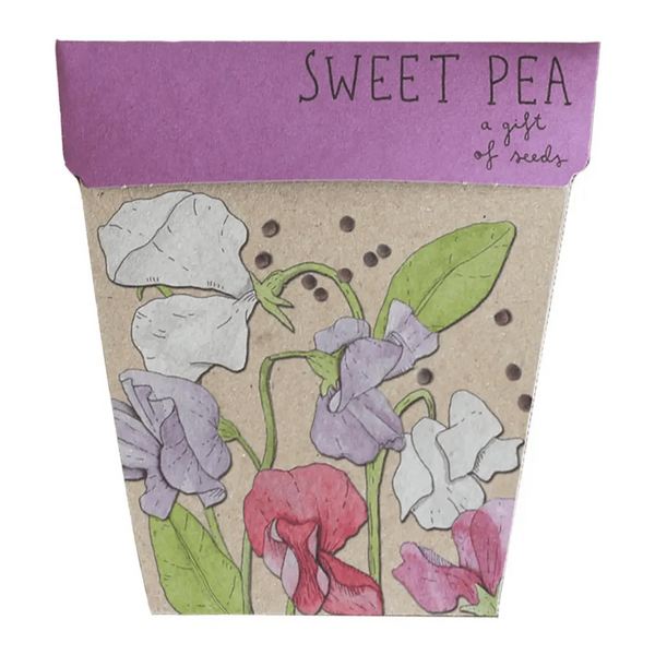 Seeds - Sweet Pea – High quality House of Dudley homewares