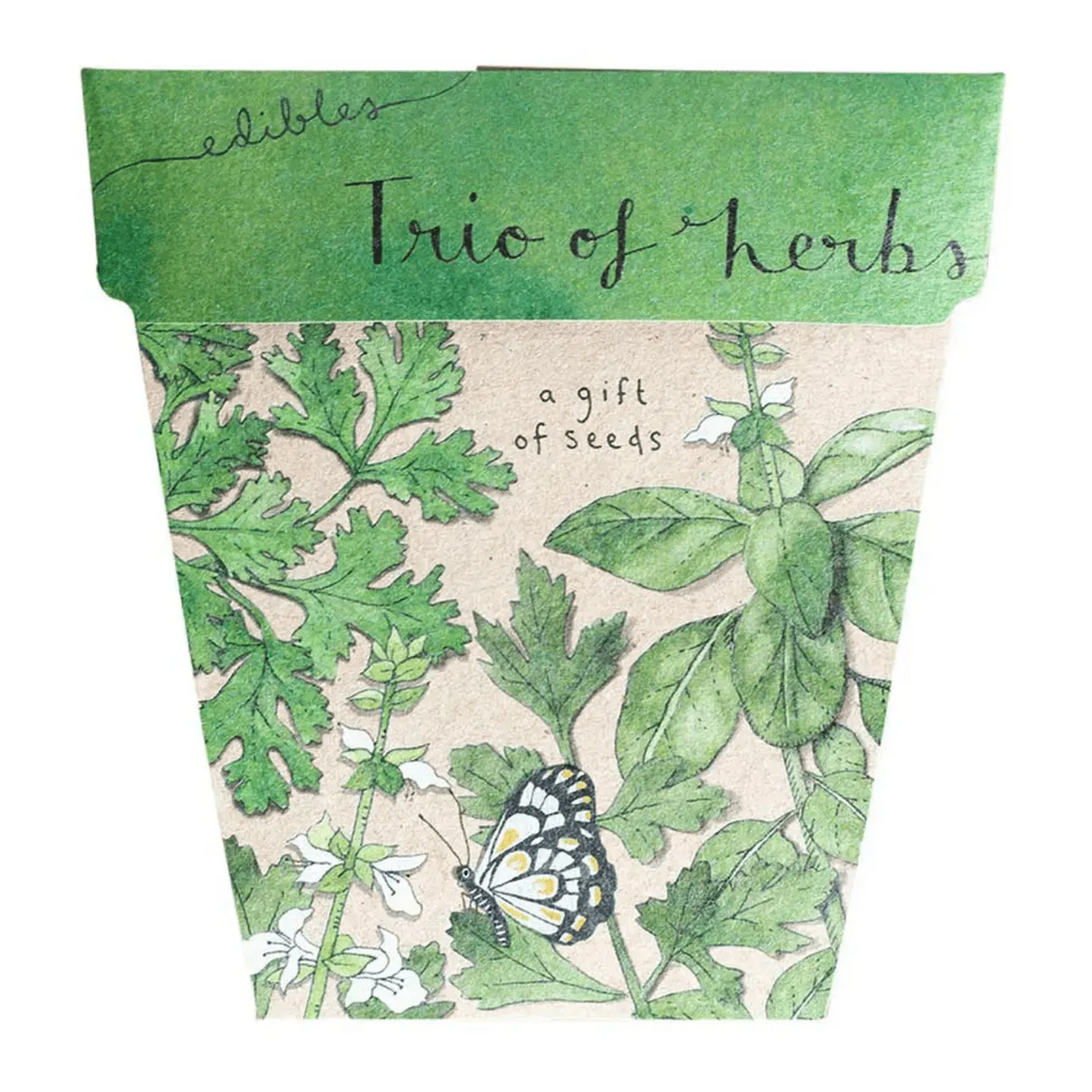 Seeds - Trio of Herbs – High quality House of Dudley homewares