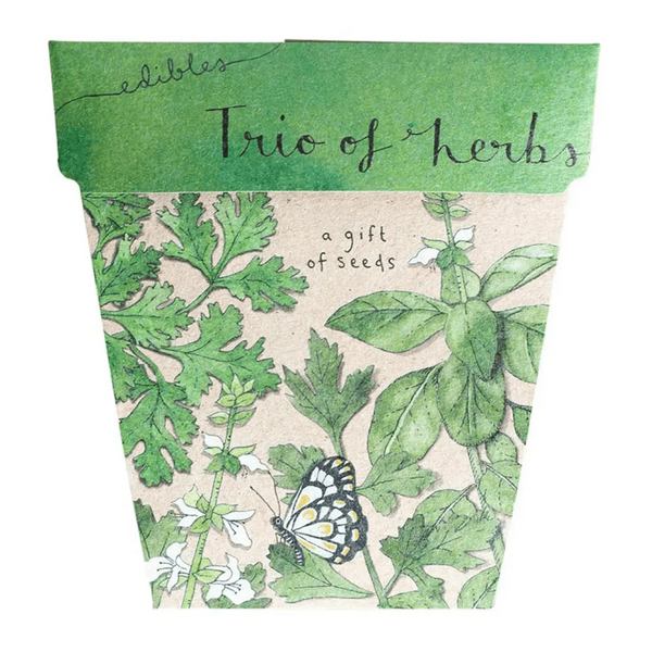 Seeds - Trio of Herbs – High quality House of Dudley homewares