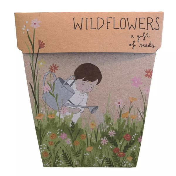 Seeds - Wildflowers – High quality House of Dudley homewares
