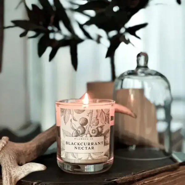 Wildwood Candle - Blackcurrant Nectar-Candle-House-of-Dudley
