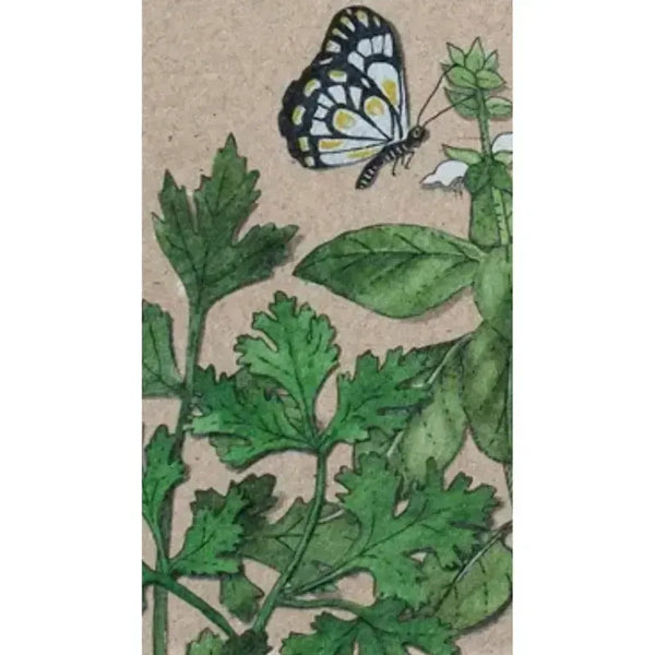 Trio of Herbs Gift Tag – botanical gift tag Australia – House of Dudley Adelaide