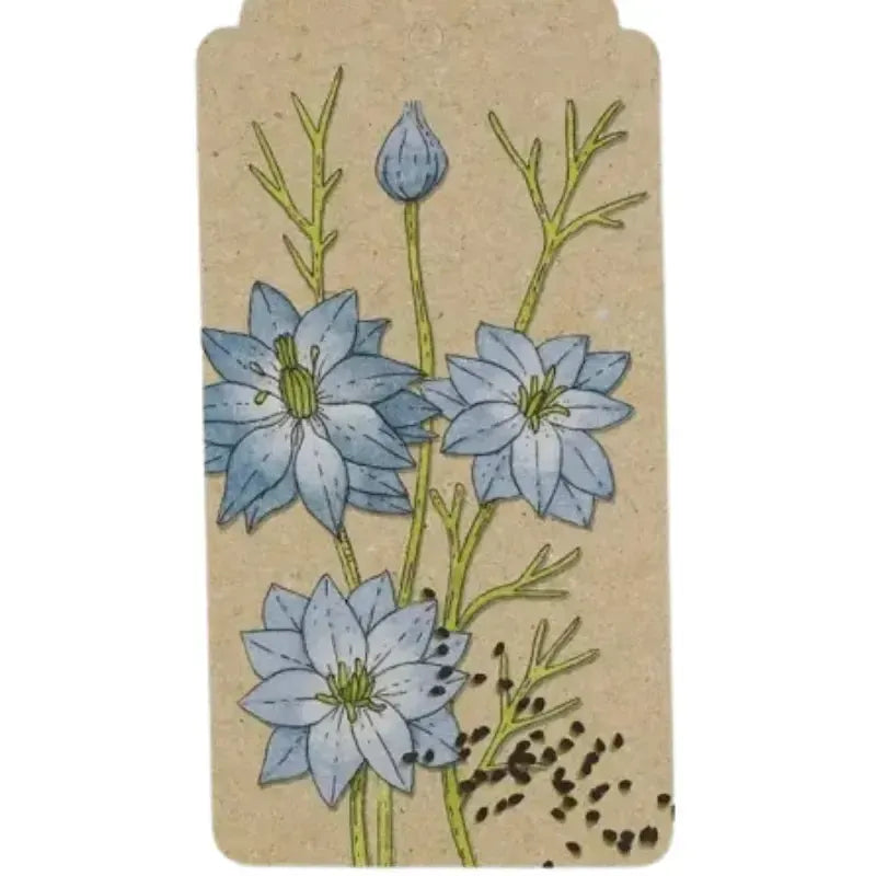 A Gift Tag - Echinacea | House of Dudley