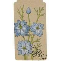 Thumbnail for A Gift Tag - Echinacea | House of Dudley