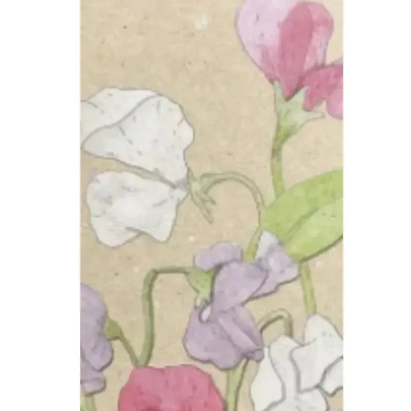 A Gift Tag - Love in a Mist | House of Dudley