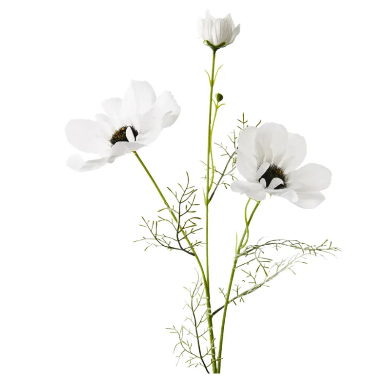 Homewares Australia | House of Dudley