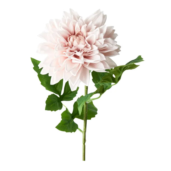 Homewares Australia | House of Dudley