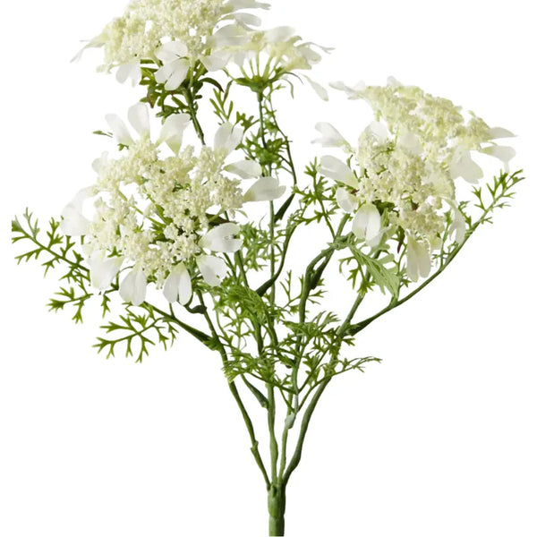 Homewares Australia | House of Dudley