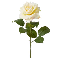 Thumbnail for Faux Lola rose stem in champagne, 46cm