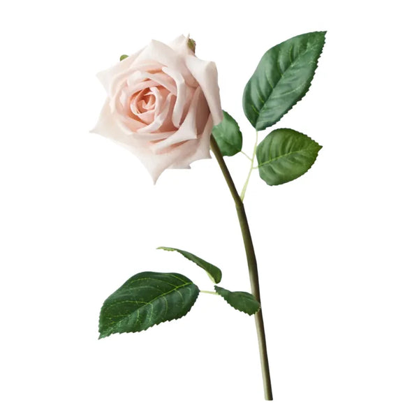 Homewares Australia | House of Dudley