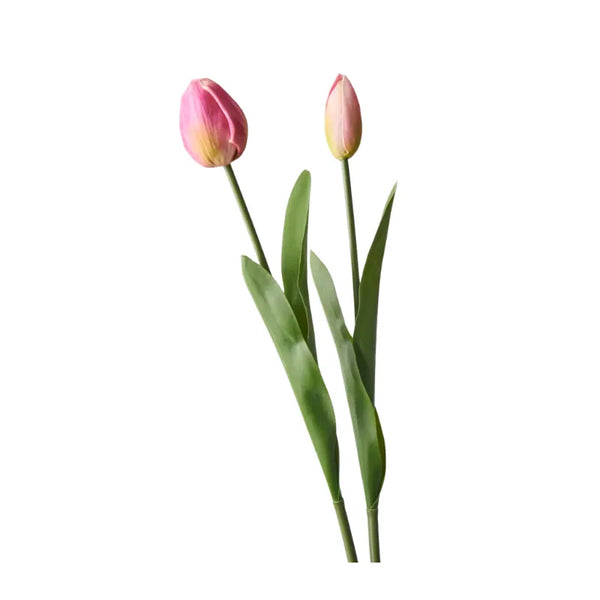 Homewares Australia | House of Dudley