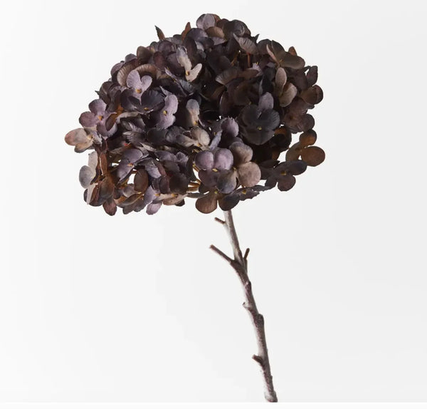 Homewares Australia | House of Dudley