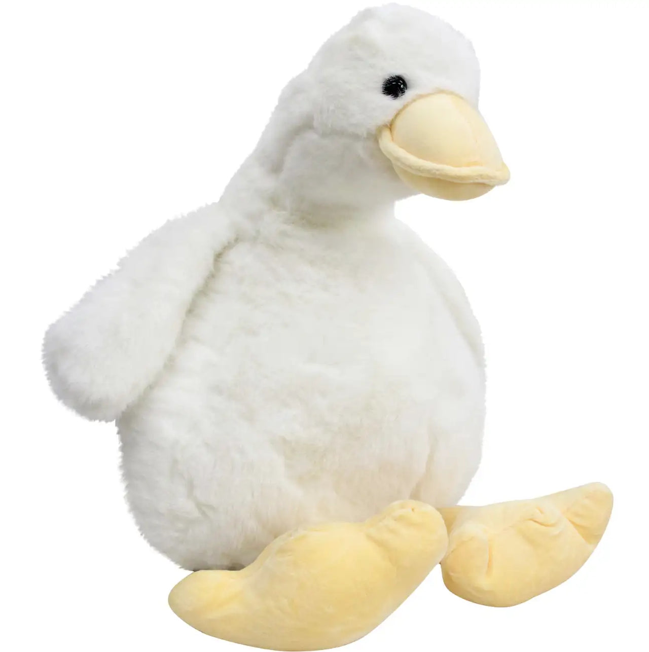 Georgina Duck