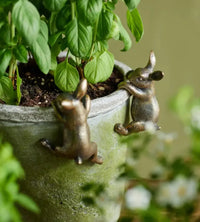 Thumbnail for Hanging Bunny Decor Gold | House of Dudley