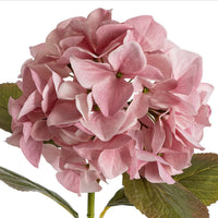 Thumbnail for Faux Hydrangea Bouquet – Dusty Pink