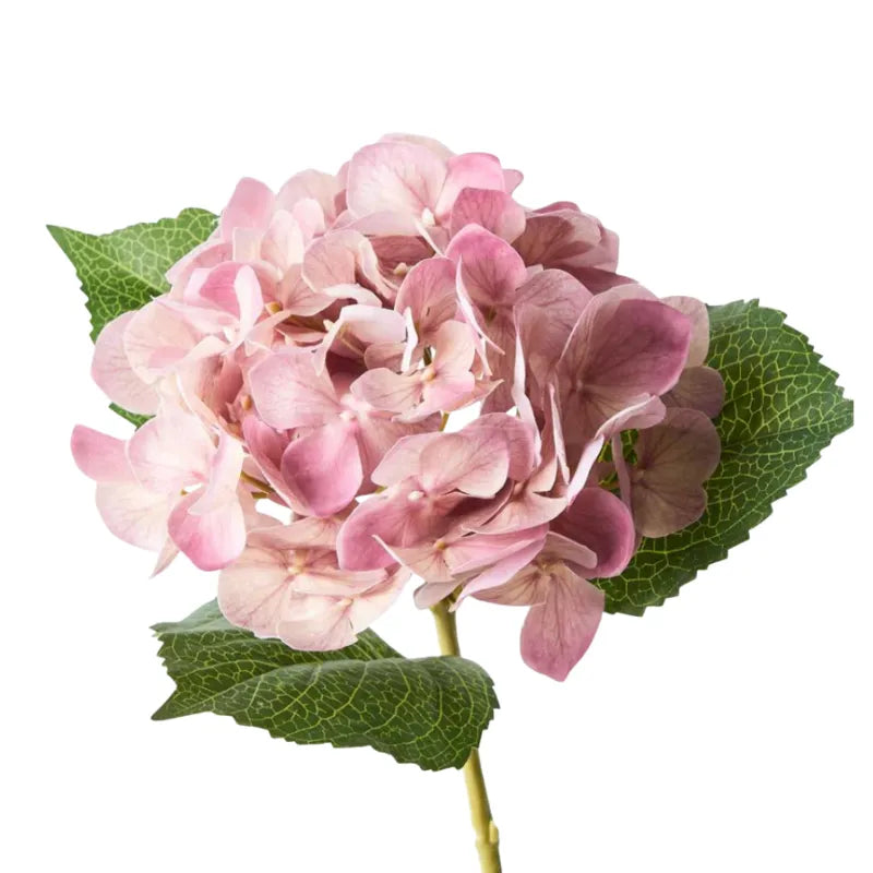 Homewares Australia | House of Dudley