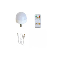 Thumbnail for LED light bulb with remote control and cable on a white background