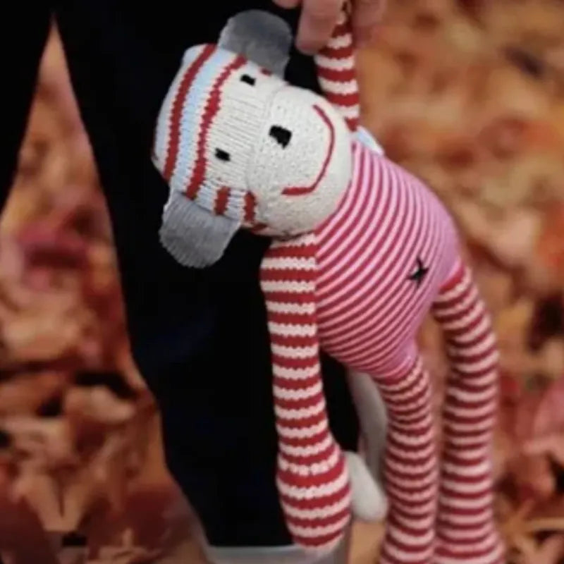 Sam Monkey | House of Dudley