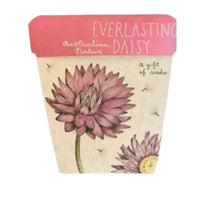 Thumbnail for Seeds - Everlasting Daisy | House of Dudley