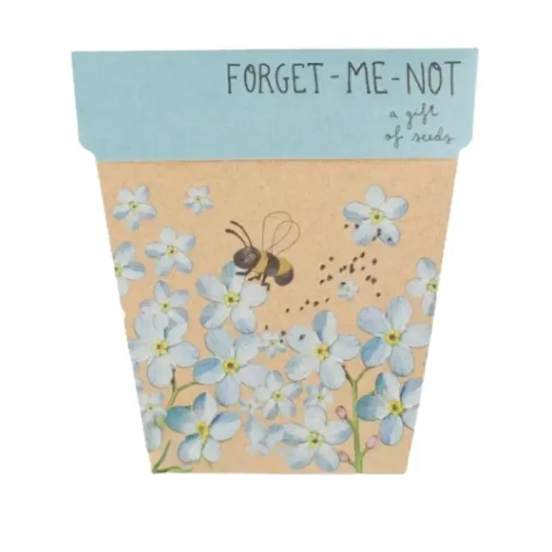 Seeds - Forget-me-not | House of Dudley