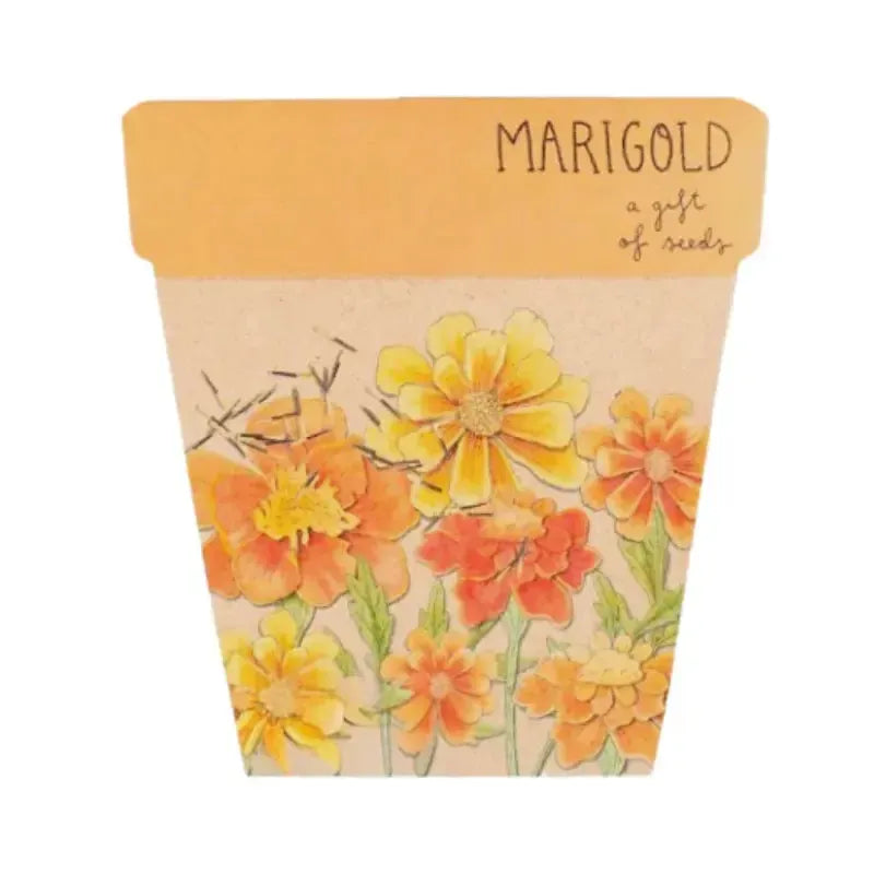 Seeds - Marigolds | House of Dudley