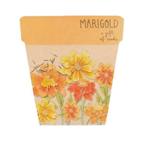 Thumbnail for Seeds - Marigolds | House of Dudley