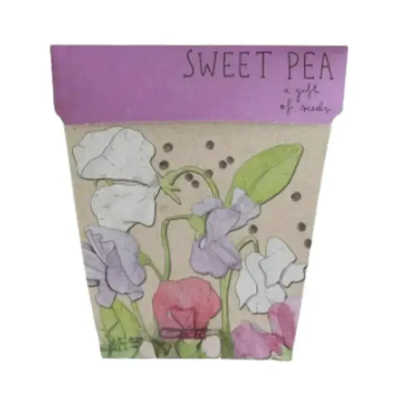 Seeds - Sweet Pea | House of Dudley