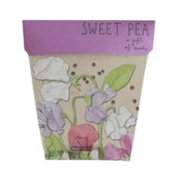 Thumbnail for Seeds - Sweet Pea | House of Dudley
