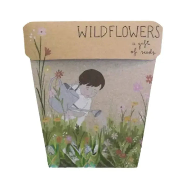 Seeds - Wildflowers | House of Dudley