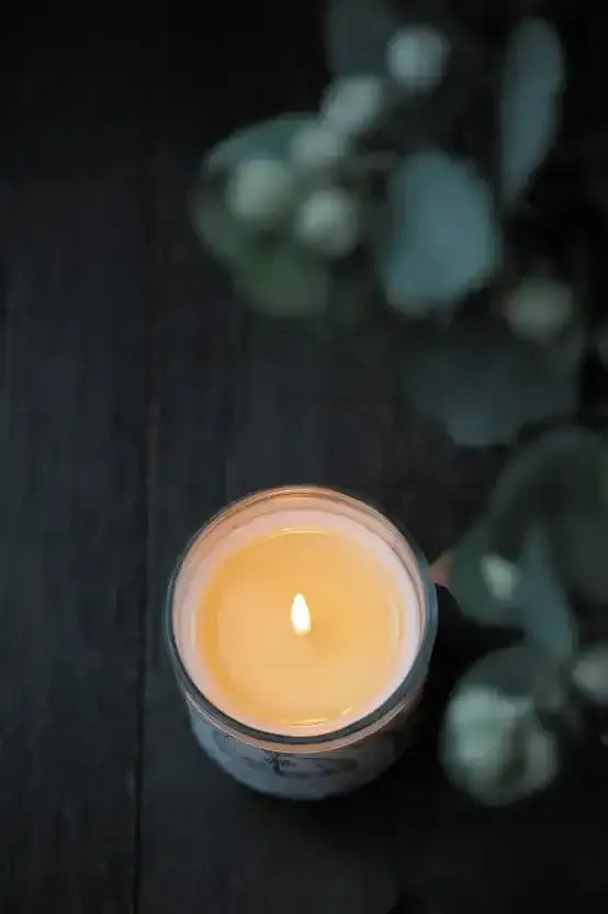 Wildwood Candle - Soft Citrus + Florals