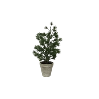 Thumbnail for Table Pine Tree - Small | House of Dudley