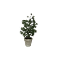 Thumbnail for Table Pine Tree – Small from House of Dudley