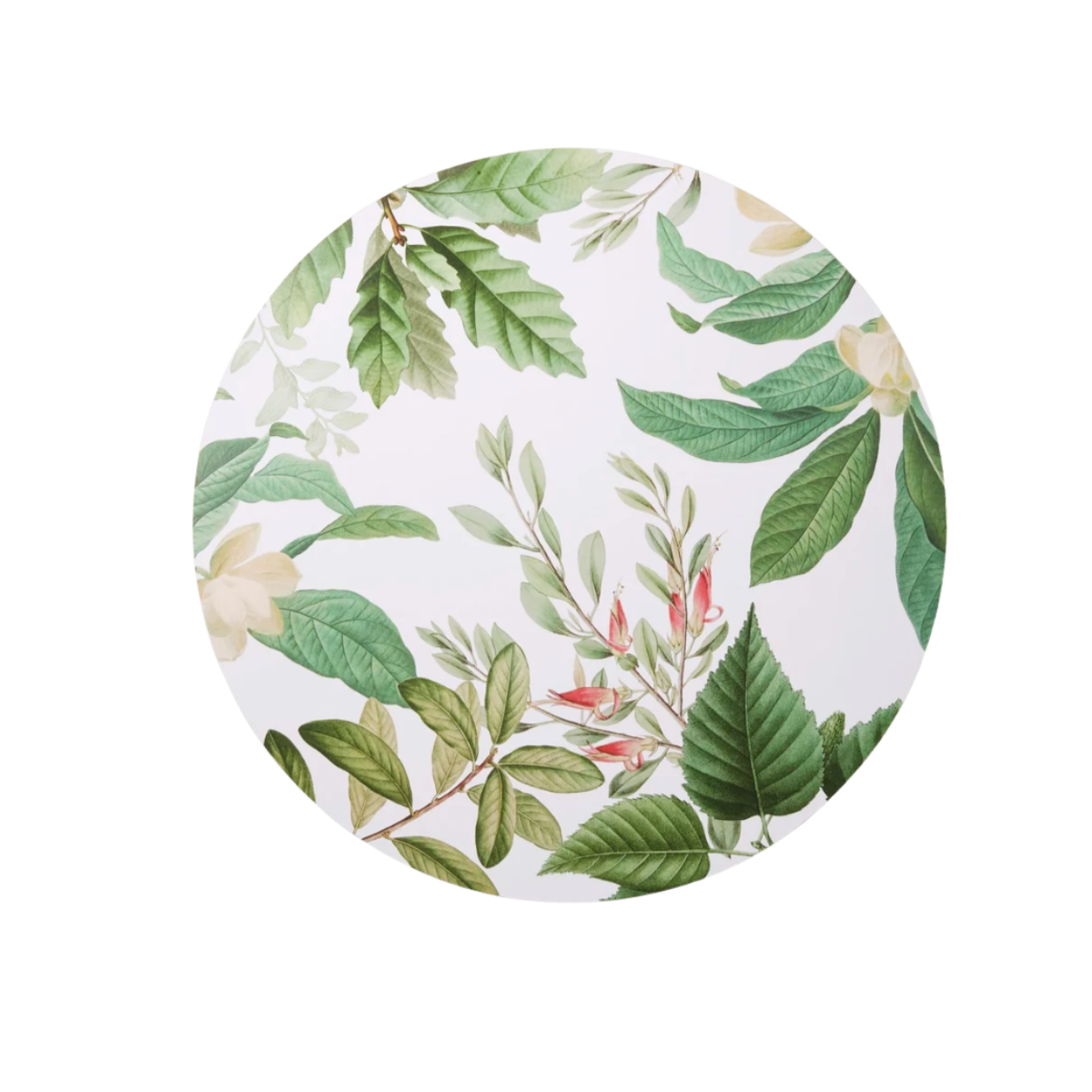 Thornton round hard placemat with green leaf and cream magnolia botanical print on white
